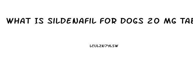 What Is Sildenafil For Dogs 20 Mg Tablets