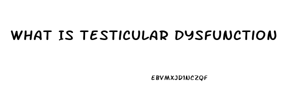 What Is Testicular Dysfunction