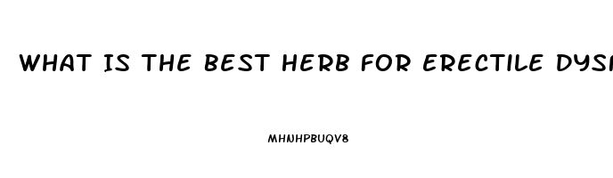 What Is The Best Herb For Erectile Dysfunction