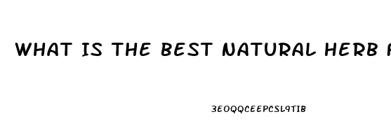 What Is The Best Natural Herb For Erectile Dysfunction