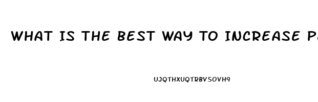 What Is The Best Way To Increase Penis Size