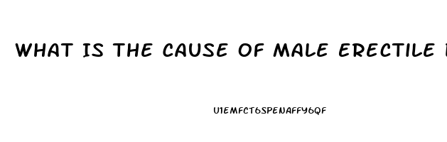 What Is The Cause Of Male Erectile Dysfunction