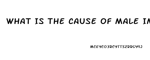 What Is The Cause Of Male Impotence