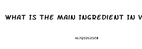 What Is The Main Ingredient In Viagra