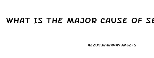 What Is The Major Cause Of Sexual Dysfunction Quizlet