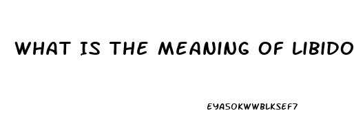 What Is The Meaning Of Libido