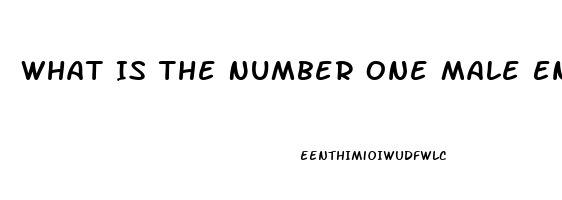 What Is The Number One Male Enhancement Pill For Growth And Endurance