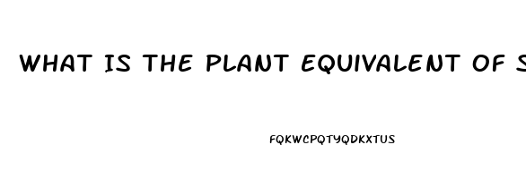 What Is The Plant Equivalent Of Sildenafil Citrate