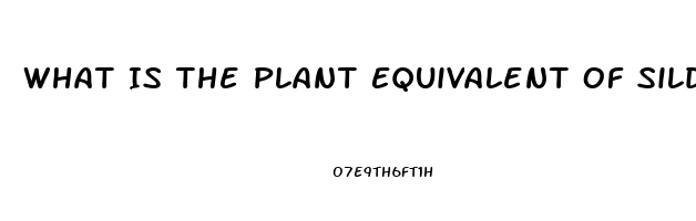 What Is The Plant Equivalent Of Sildenafil Citrate