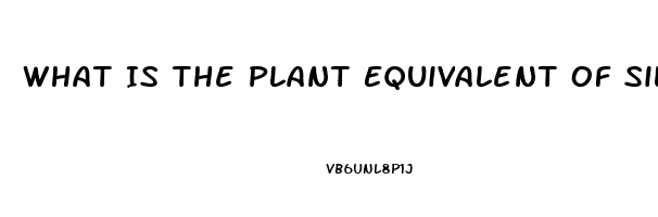 What Is The Plant Equivalent Of Sildenafil Citrate