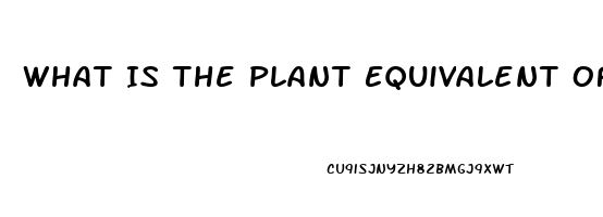 What Is The Plant Equivalent Of Sildenafil Citrate