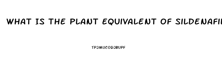 What Is The Plant Equivalent Of Sildenafil Citrate