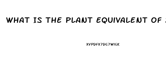 What Is The Plant Equivalent Of Sildenafil Citrate