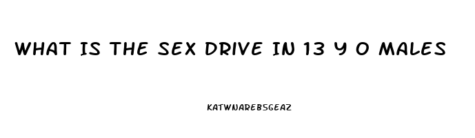 What Is The Sex Drive In 13 Y O Males