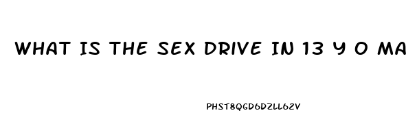 What Is The Sex Drive In 13 Y O Males