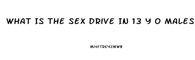 What Is The Sex Drive In 13 Y O Males