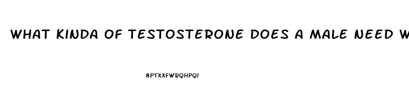 What Kinda Of Testosterone Does A Male Need When You Dont Have A Sex Drive