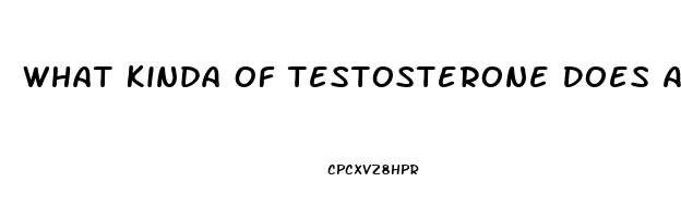 What Kinda Of Testosterone Does A Male Need When You Dont Have A Sex Drive