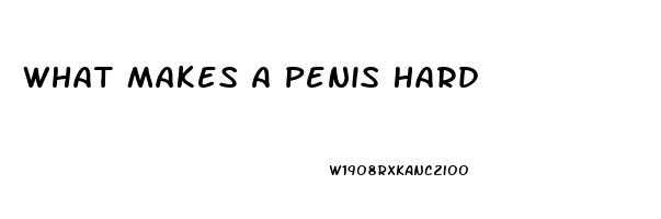 What Makes A Penis Hard