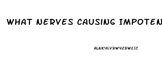 What Nerves Causing Impotence