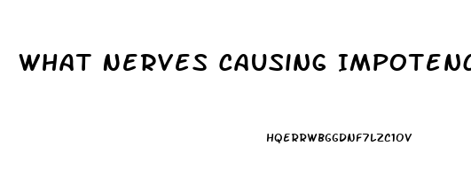 What Nerves Causing Impotence