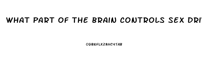 What Part Of The Brain Controls Sex Drive