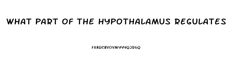 What Part Of The Hypothalamus Regulates The Sex Drive