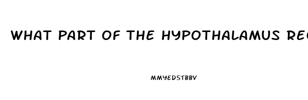 What Part Of The Hypothalamus Regulates The Sex Drive
