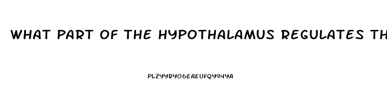What Part Of The Hypothalamus Regulates The Sex Drive