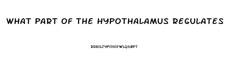 What Part Of The Hypothalamus Regulates The Sex Drive