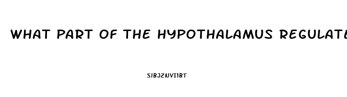 What Part Of The Hypothalamus Regulates The Sex Drive