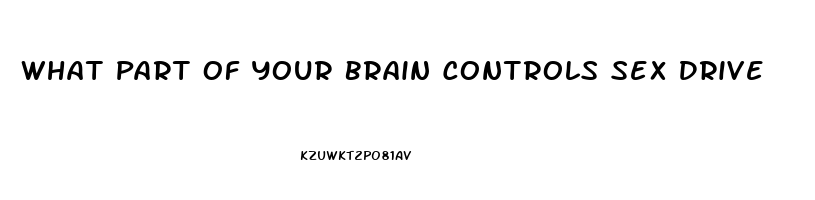 What Part Of Your Brain Controls Sex Drive