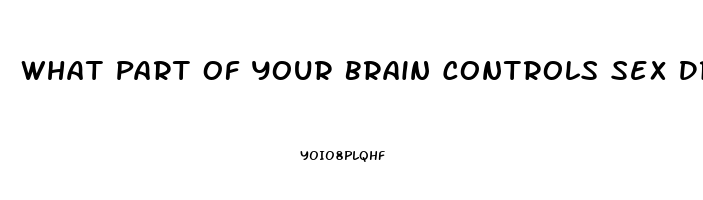 What Part Of Your Brain Controls Sex Drive