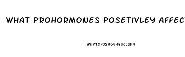 What Prohormones Posetivley Affect The Libido