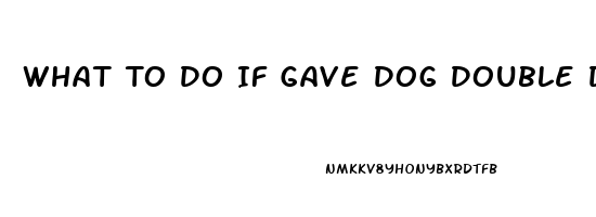 What To Do If Gave Dog Double Dose Of Sildenafil