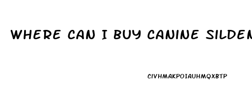 Where Can I Buy Canine Sildenafil In Illinois