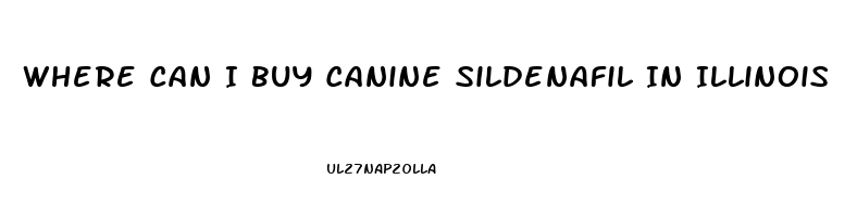 Where Can I Buy Canine Sildenafil In Illinois