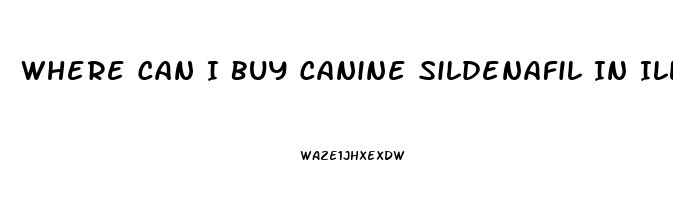 Where Can I Buy Canine Sildenafil In Illinois