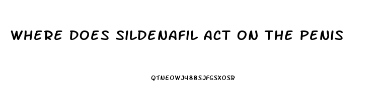 Where Does Sildenafil Act On The Penis