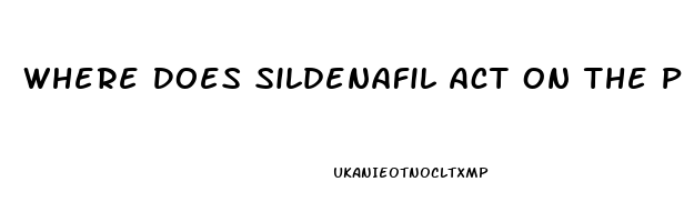 Where Does Sildenafil Act On The Penis