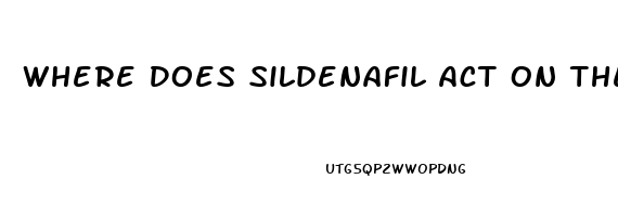 Where Does Sildenafil Act On The Penis