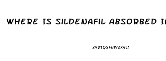 Where Is Sildenafil Absorbed Into The Body