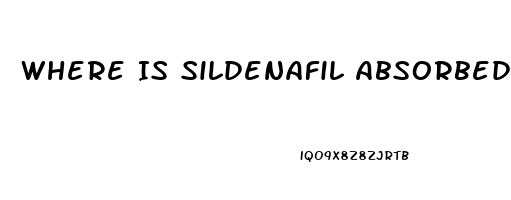 Where Is Sildenafil Absorbed Into The Body