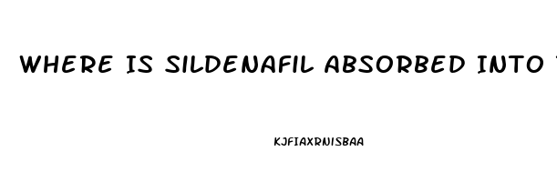 Where Is Sildenafil Absorbed Into The Body