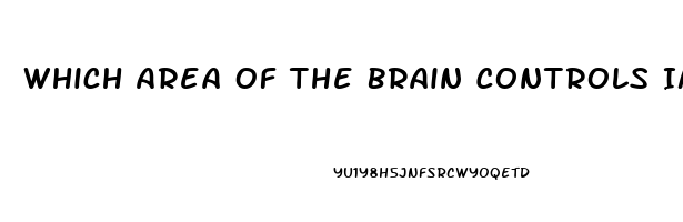 Which Area Of The Brain Controls Impotence
