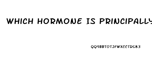 Which Hormone Is Principally Responsible For Sex Drive In Women