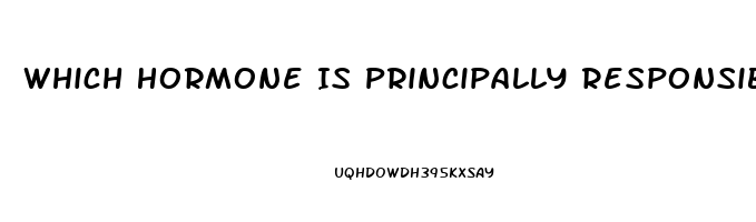 Which Hormone Is Principally Responsible For Sex Drive In Women