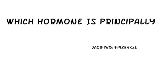Which Hormone Is Principally Responsible For The Sex Drive In Women