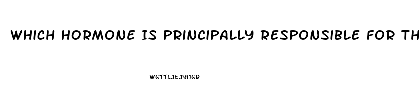 Which Hormone Is Principally Responsible For The Sex Drive In Women