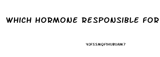 Which Hormone Responsible For Erectile Dysfunction